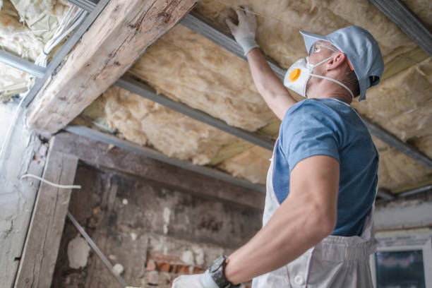 Best Spray Foam Insulation in La Habra, CA