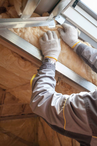 Best Geographic-Specific Insulation Services in La Habra, CA