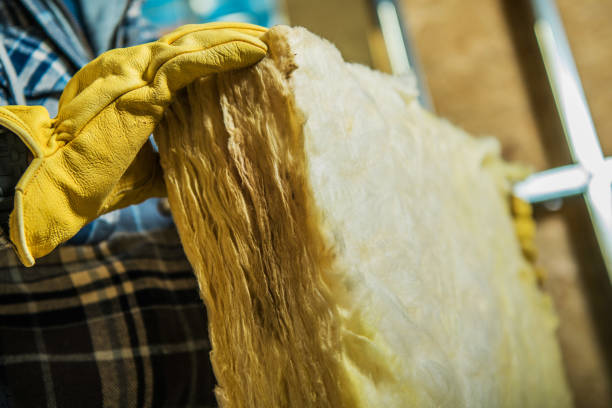 Best Cellulose Insulation in La Habra, CA