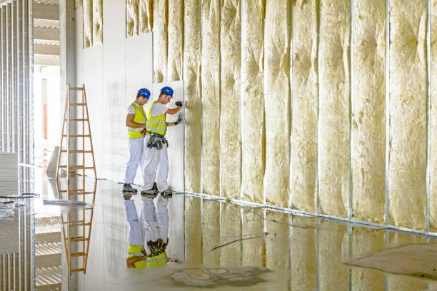 Professional Insulation Contractor in La Habra, CA
